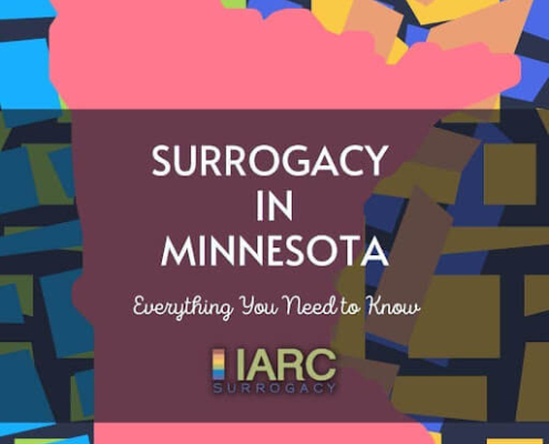 a cover for what to know about surrogacy in teh state of Minnesota